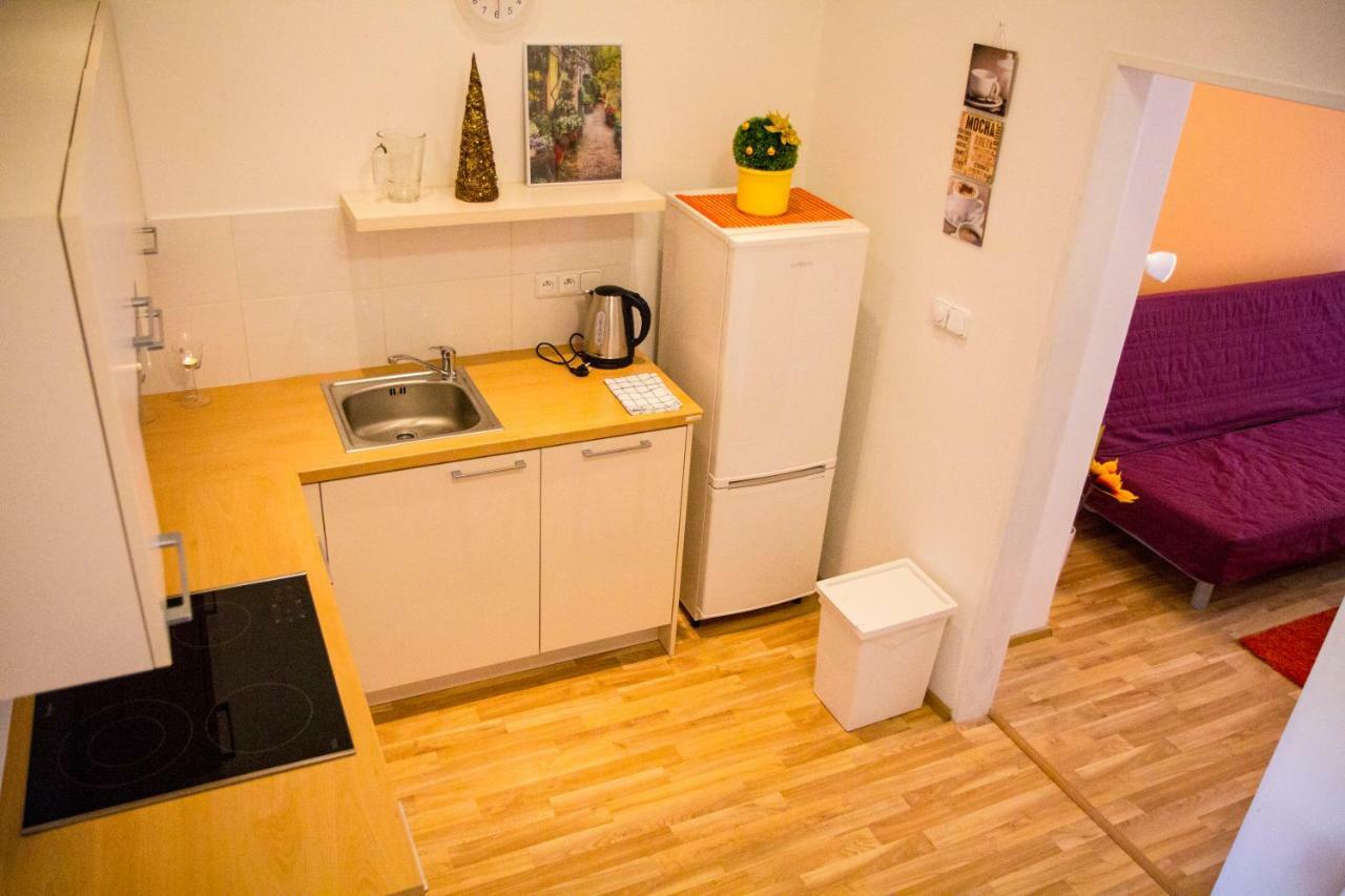 Lidicka Apartment Prága Kültér fotó